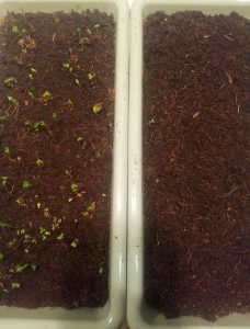 Ferry-Morse Germination Heat Mat for Seed Starting