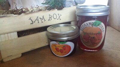 Storandt Jam Box