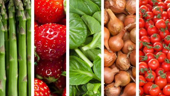 Seasonal Produce Chart from Storandt Farms
